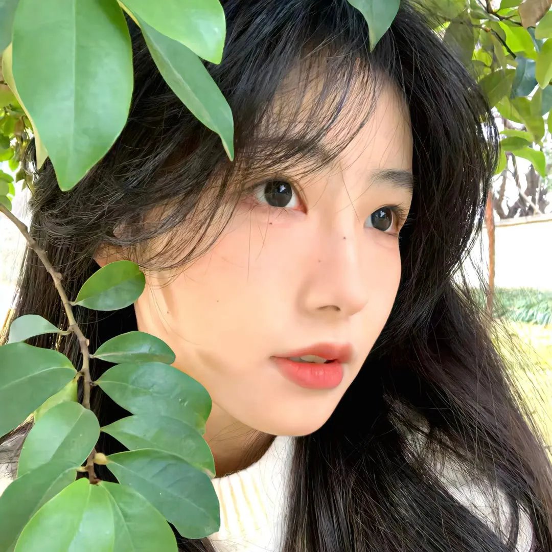 新爱的世界